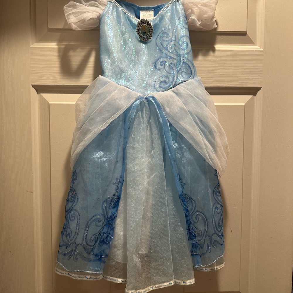 Disney Blue and White Cinderella Halloween Costume